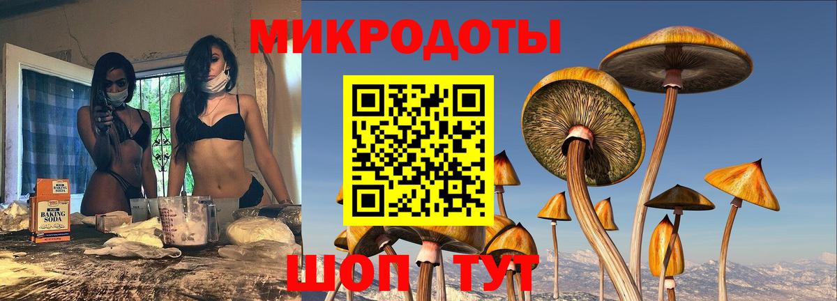 как найти наркотики  Галлюциногенные грибы Magic Shrooms  Вход с VPN  Чехов 